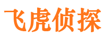 石楼侦探公司